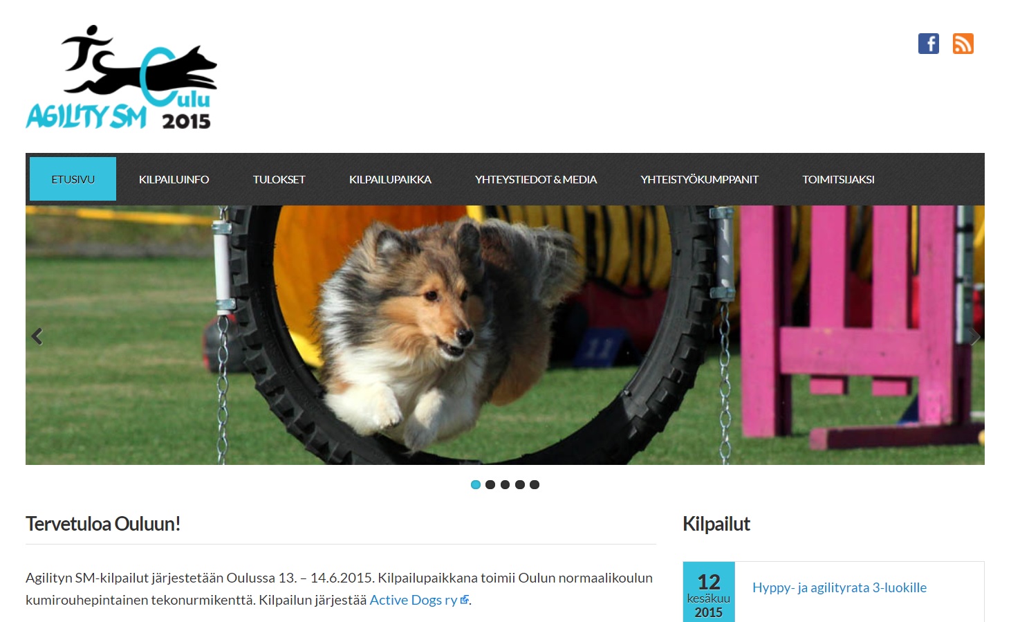 Agility SM2015 -kotisivut